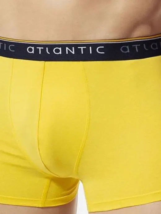 Боксеры из мягчайшего хлопка пима с примесью модала Atlantic MW119037желтый Боксеры из мягчайшего хлопка пима с примесью модала Atlantic MW119037желтый