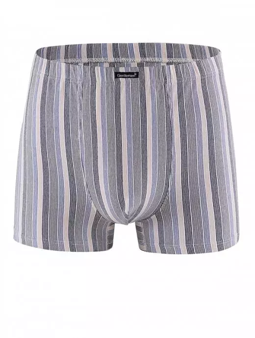 Мягкие боксеры на плоских швах Gentlemen SIGS7853 бежевый/полоса Мягкие боксеры на плоских швах Gentlemen SIGS7853 бежевый/полоса